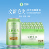 文新 信阳毛尖啤酒 中式精酿茶啤 330ml*24罐