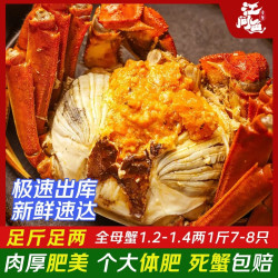 江问鱼 盘锦河蟹稻田蟹 中秋节送礼 全母蟹1.2-1.4两1斤7-8只