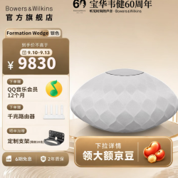 宝华韦健 FORMATION WEDGE 2.0声道 桌面