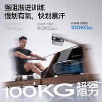 麦瑞克 950 水磁双阻 可折叠 划船机