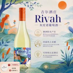 Rivah吉尔酒庄 Rivah 灰皮诺干白 750ml 冰袋配送中秋