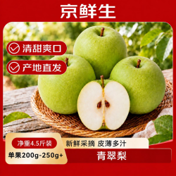 京鲜生 安徽砀山酥梨净重5斤装单果200g+ 生鲜水果源头直发