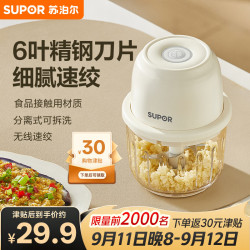 苏泊尔 绞肉机家用小型多功能打泥搅拌婴儿宝宝便携辅食料理机蒜泥捣碎器