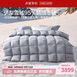 水星家纺 A类抑菌阻螨95%鹅绒冬被芯防钻绒秋冬羽绒被子 寒域静暖抗菌鹅绒冬被220×240cm