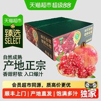 88VIP：农鲜淘 顺丰上门猫超臻选四川会理突尼斯软籽石榴饱满多汁新鲜应季红石榴