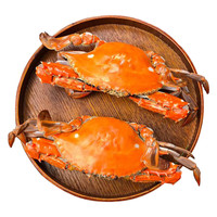 鹭珊岛 鲜活梭子蟹 150-200g/只 海鲜水产
