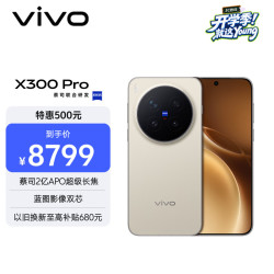 vivo X300 Pro 蔡司2亿APO超级长焦 旷野棕 16GB+1TB 5G手机