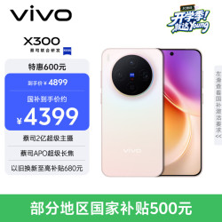 vivo X300 5G 手机 幸运彩 12GB 512GB
