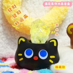 正版盲盒动物猫猫盲盒桌面摆件创意礼物