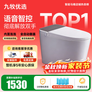 智能马桶一体机 无水压全自动 泡沫盾 AI语音 通用坑距