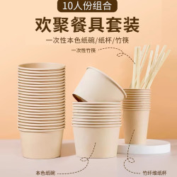 自然搭档 一次性纸碗筷子水杯欢聚套餐10人份*2包