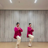 花与影老师菩提花同款圆领插肩袖宽松版衬衣古典现代舞练习舞蹈服