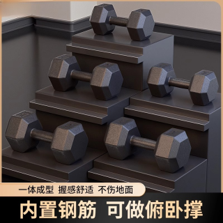森克斯 厂家升级新手女推荐高质量男士专业家用器材哑铃入门多功能俯卧撑