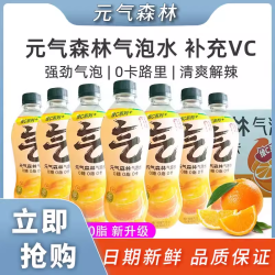 元气森林 维C橙口味480ml*5瓶无糖饮料元气森林气泡水