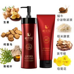 ZHICUIWU/植萃坞生姜何首乌洗发水套装润养水洗