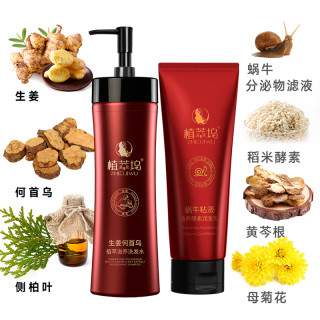 ZHICUIWU/植萃坞生姜何首乌洗发水套装润养水洗