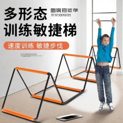 武行彬 蝴蝶敏捷梯体能运动器材儿童跳格子绳梯室内足球篮球步伐锻炼软梯