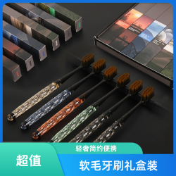 贝菲玛 轻奢家用超细软毛独立水晶手柄情侣便携简约牙刷