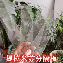 亚克力提拉米苏盒子长条分隔板托盘模具中间隔断挡板分格器固定器