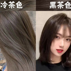 蓝朵纷彩 冷茶色染发剂黑茶色染发膏女2022流行色显白自己在家染发灰棕色