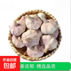 京喜 新干蒜4.5cm大蒜头干蒜山东大蒜批发价新干蒜皮 5头