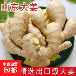 京喜 山东大姜 无药残无硫熏 新鲜风干水洗老姜 净重1.8斤