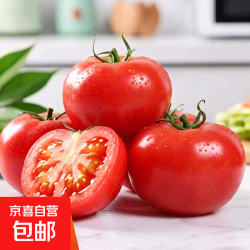 京喜 现摘沙瓤西红柿番茄可生吃现摘现发新鲜蔬菜减肥生鲜 番茄(单果100g+) 2斤 带箱