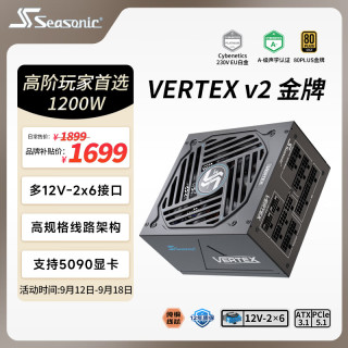 海韵 1200W 金牌全模 电脑电源｜ATX 3.1｜支持RTX 5090/9070显卡