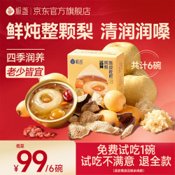 极盏 陈皮枇杷冰糖炖雪梨水果罐头 陈皮枇杷炖酥梨252g*6碗