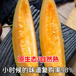 知音铺子 新疆吐鲁番哈密瓜西州蜜25号现摘产地直发网甜瓜孕妇水果顺丰包邮