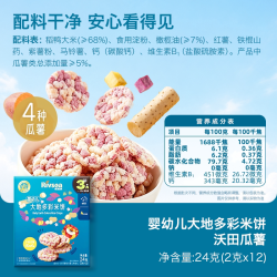 禾泱泱 婴幼儿大地多彩米饼儿童营养零食宝宝辅食磨牙饼干无添加盐