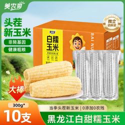 美农哥 东北白甜糯玉米10根新鲜粘玉米甜黏苞米早餐粗粮代餐真空装