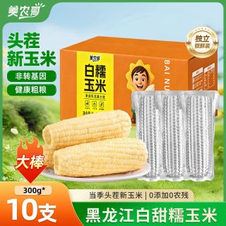 美农哥 东北白甜糯玉米10根新鲜粘玉米甜黏苞米早餐粗粮代餐真空装