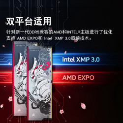 美商海盗船 32GB套装 SHUGO DDR5 6000 守护者 艺术 灯条 CL28 黑曜刃版