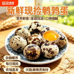 武冠 农家杂粮喂养新鲜生鹌鹑蛋多种吃法口感细腻整箱发货批发包邮农场