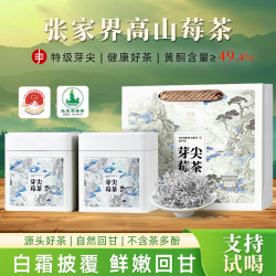 茗满江 张家界芽尖莓茶特级头采土家藤茶龙须养生茶120g礼盒装送礼
