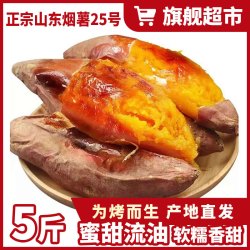 东鲜丰 山东烟薯地瓜 香甜流油烤红薯 烟薯番薯新鲜蔬菜 中果-净重4.5斤