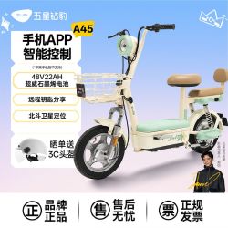 五星钻豹 48V22Ah电动车新国标电动自行车男女式通勤代步电瓶车A45