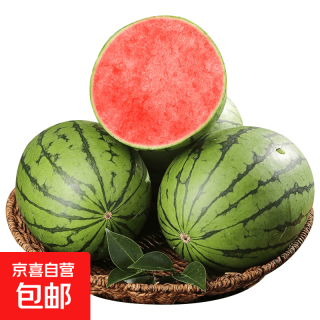 京东 手剥皮小西瓜2K小糖丸西瓜新鲜水果薄皮西瓜脆甜手撕红肉甜瓜整箱 小糖丸1.5-2斤净重1.3斤+