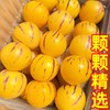 豔疅 云南人参果 黄肉熟果 大果