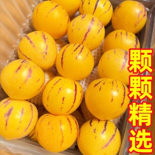 豔疅 云南人参果 黄肉熟果 大果