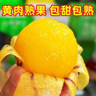 豔疅 云南人参果 黄肉熟果 大果