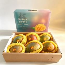 果迎鲜 芒果 攀枝花凯特芒 净重4.5斤 （大果约300g+ ）