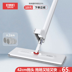 好媳妇 铝合金大号加宽平板拖把家用拖布免手洗一拖净拖地42CM2块布 42cm2块布