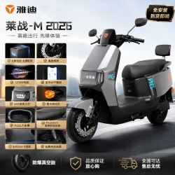 雅迪 莱战-M 电动摩托车 空车
