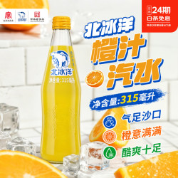 北冰洋 橙汁汽水 315ml