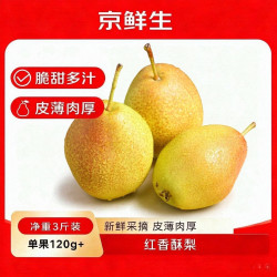 京鲜生 翡翠酥梨 净重5斤 单果125g+ 生鲜水果 源头直发