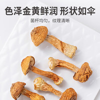 沈之问 姬松茸干货