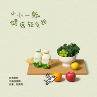 喜茶 羽衣甘蓝果蔬汁 苹果橙*3+双柚*3 350ml*6瓶