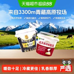 小西牛 青藏奶源 老酸奶特色低温酸奶 源头直发